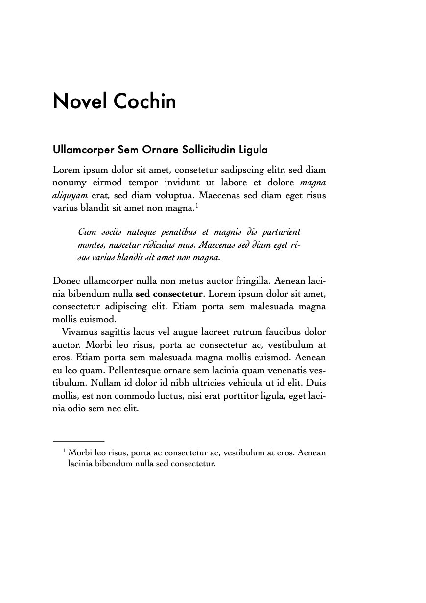 Novel Cochin Preview 1